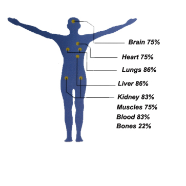 water-percentage-in-human-body